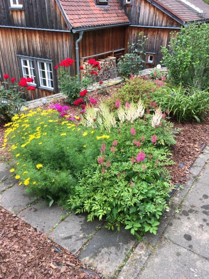 Hotel Haus Bergfriede Bad Schandau Exteriér fotografie